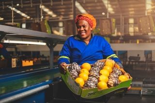 meiring boerdery port elizabeth hlb industrial photography commercial south africa factory photographer professional