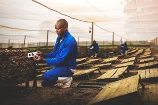 port elizabeth professional commercial damaree snailfarm hlb photography south africa photographer